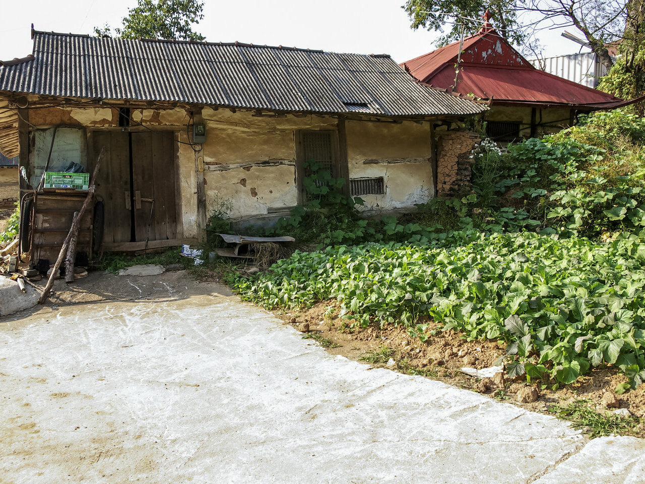 シェアハウスのマーケットは増加しております。その背景として、空き家が増加していることがあります。<br />
全国平均の空家率は13.5%であるにも関わらず、大阪市内の空家率は17.2%となっております。<br />
つまり、約6戸に1戸が空いているという計算になります。国もこの空き家をどうにかしなければならないと考え、2015年に「空き家対策特別措置法」が施行されており、空き家を放置しているオーナー様へ、適正な管理をと、活用の推進、行政が放置された空き家を解体しても良いとする内容になっており、正しく、現代の社会問題となっております。